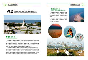 《畫冊設計招標公告 某市旅游局旅游開發項目策劃咨詢畫冊》